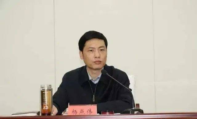 波尔图足球_官宣波尔图足球！厅长杨燕伟被查