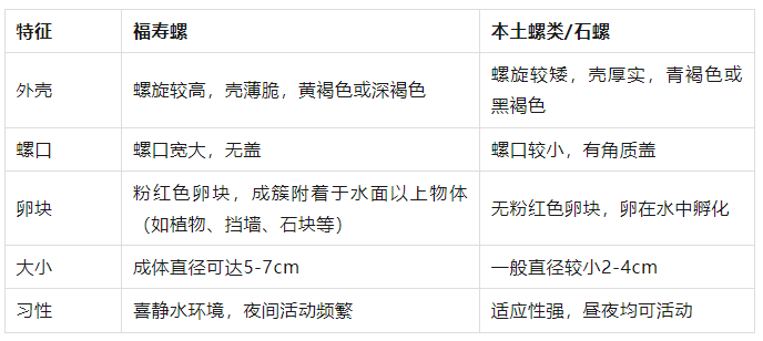 皇冠信用網登1,登2,登3出租_别吃皇冠信用網登1,登2,登3出租，寄生虫多达上千条！武汉公园连夜清出130多斤