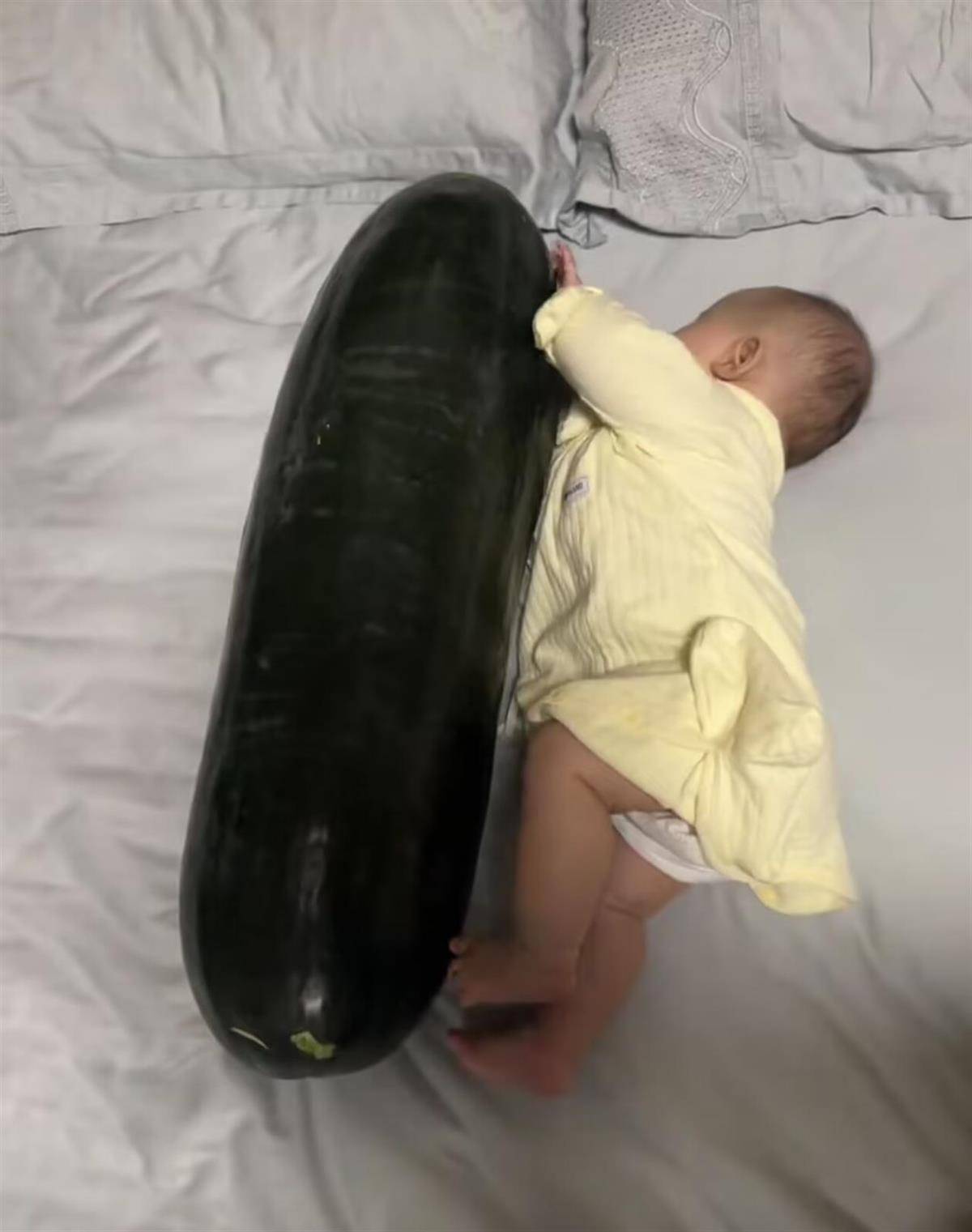 皇冠信用网平台_男子在深圳购买28斤重的冬瓜带回香港皇冠信用网平台，给3个月大的女儿当避暑玩具