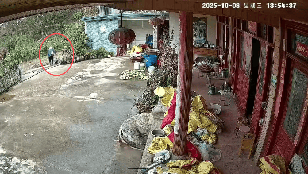 皇冠信用網代理出租_93岁老人进山失联皇冠信用網代理出租，两天后发现他倒挂在树杈上苦撑……