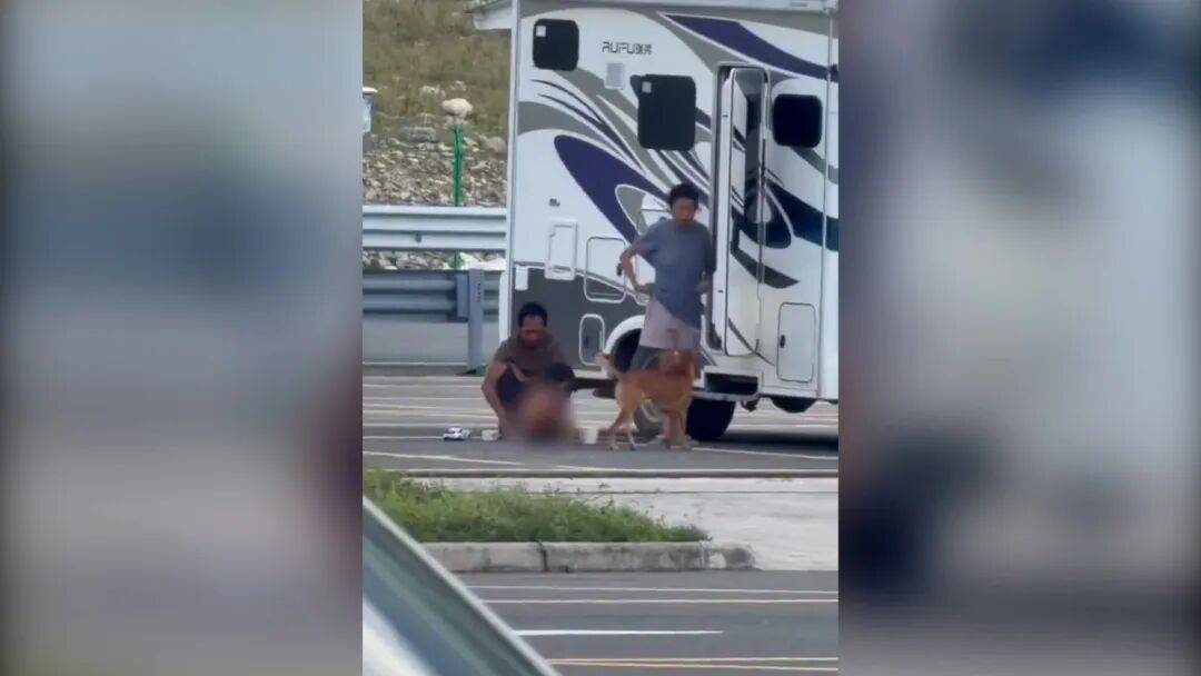 皇冠登3管理出租_村民：“野人小孩”父亲上山“灵修”后就不正常皇冠登3管理出租了