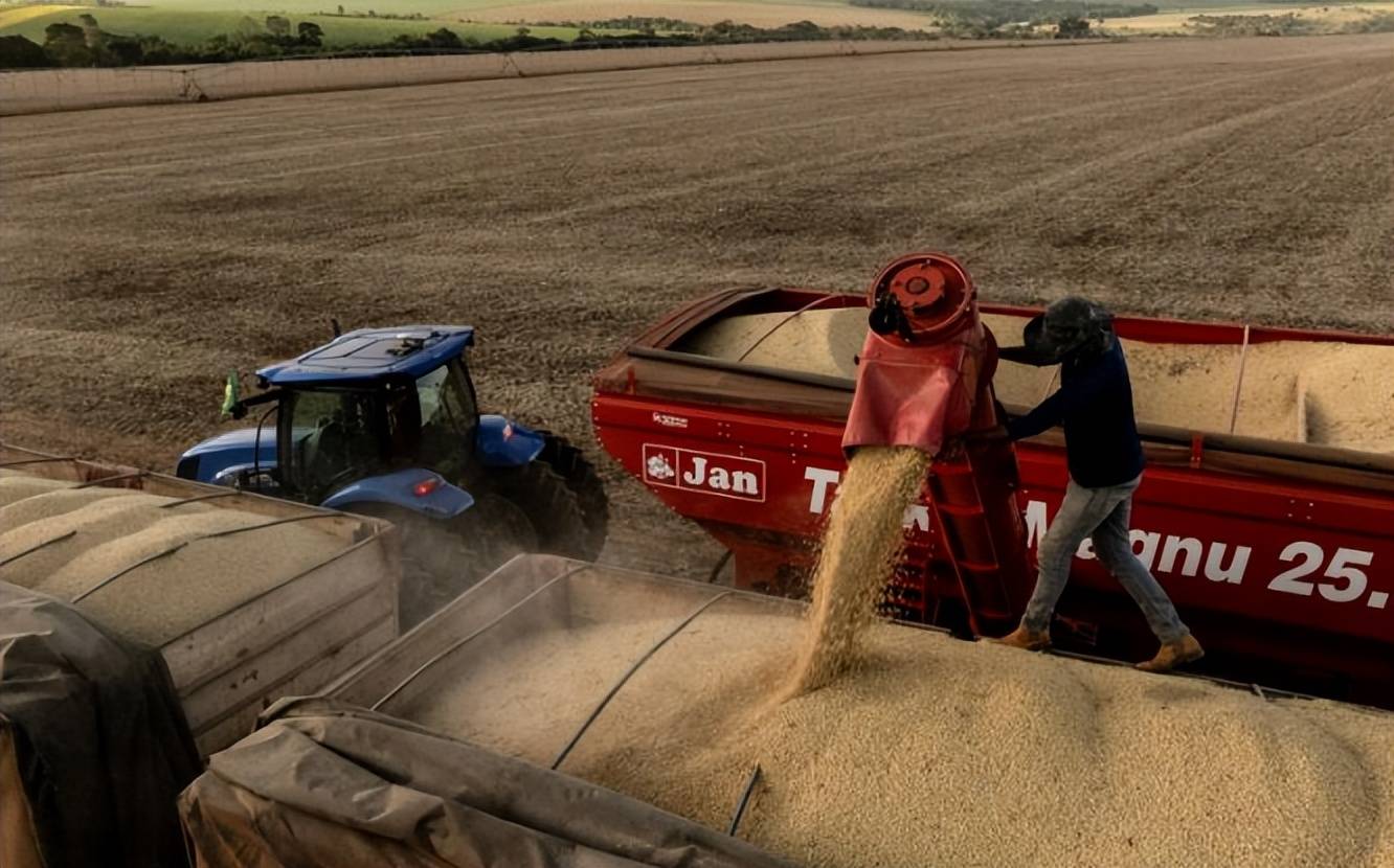 皇冠信用网_美国大豆比巴西豆贵还加税皇冠信用网，中国采购停滞不是违约，市场规律才是关键？