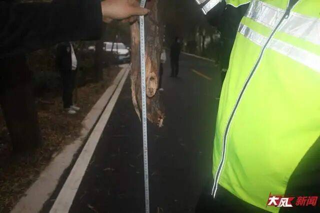 皇冠信用網网址_陕西兴平56岁女教师骑电动车“撞树枝”身亡皇冠信用網网址，交警判定担主责，家属提出诸多质疑，多方回应