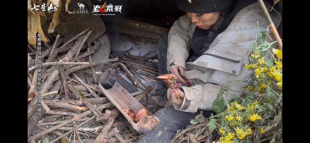 皇冠信用网APP下载_“冷美人”退赛皇冠信用网APP下载，错失20万奖金