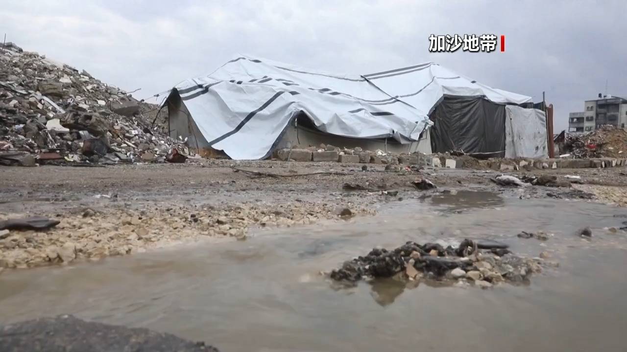 皇冠信用网登3代理_最新皇冠信用网登3代理！法国、英国、加拿大、丹麦、芬兰等十国外长发布联合声明