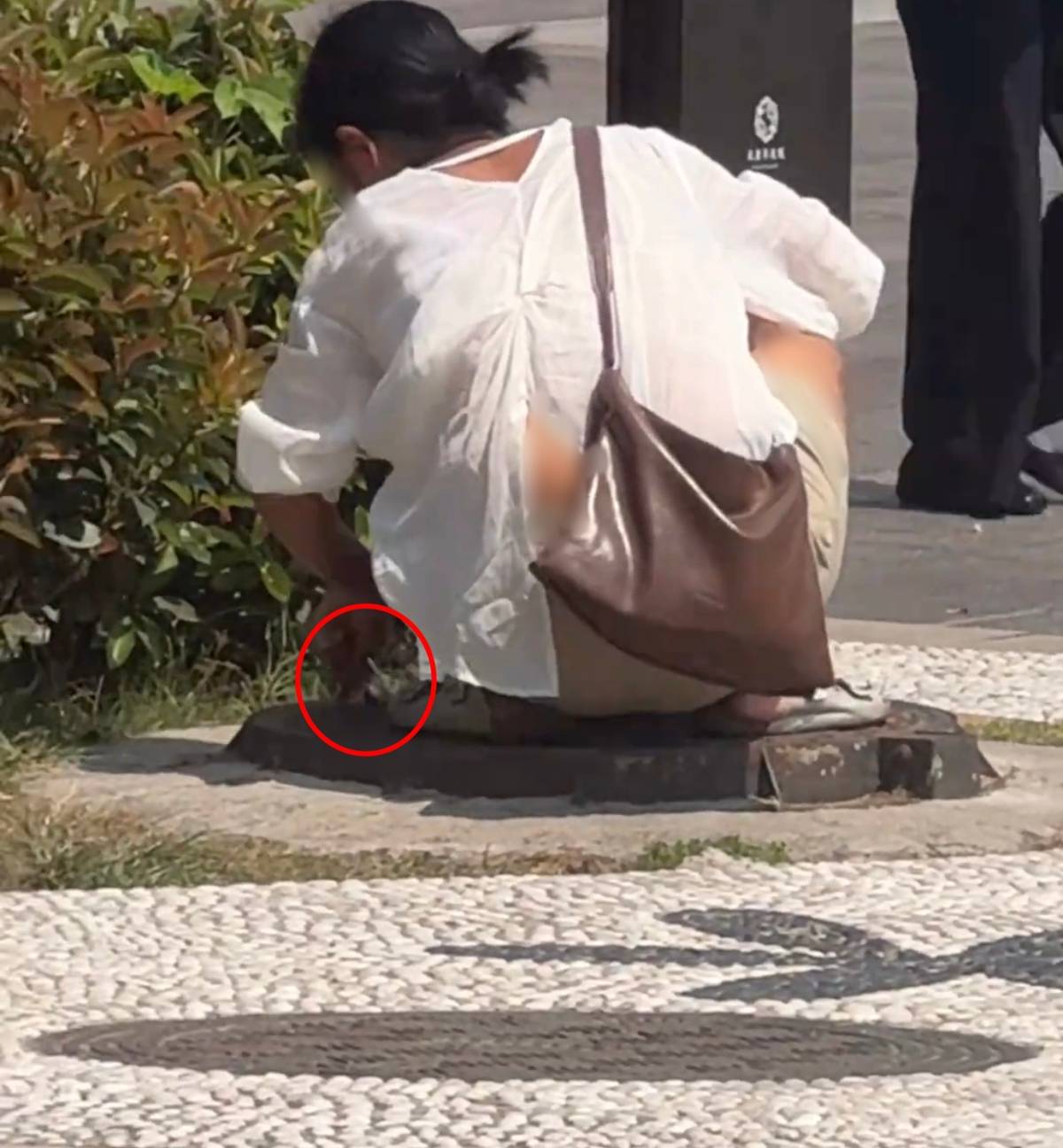 怎么开皇冠信用网_女子形迹可疑四处张望怎么开皇冠信用网,向西安街边雨水井塞入管状不明物品,警方已介入调查